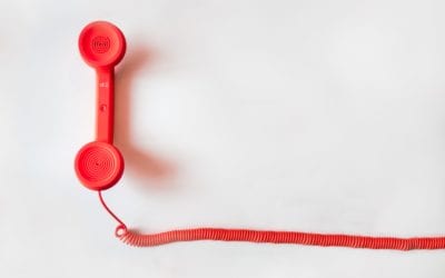 Office closure – mid-summer shutdown
